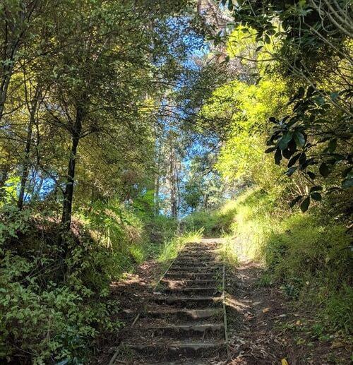 A regular running route from my hometown
Palmerston North
